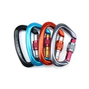 カラビナ 大きい サイズ 軽量 耐荷重 25KN D型  スクリューロック