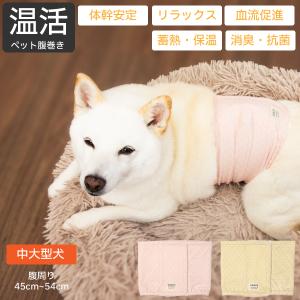 犬用腹巻 歩行サポート 防寒 蓄熱 保温 消臭 抗菌 UVカット ヘルスケア 柴犬 中型犬 ウェルネス 温活 ペット 腹巻き 胴囲45〜54cm Lareg-S
