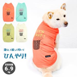 鳥用 ハーネス AVIATOR L : えとぴりかオンラインショップ - 通販