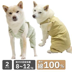 鳥用 ハーネス AVIATOR L : えとぴりかオンラインショップ - 通販