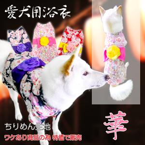 犬用着物大型犬の商品一覧 通販 Yahoo ショッピング
