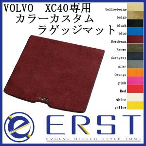 SoundRacer X （サウンドレーサーX） / 7種のエンジンサウンド USB出力