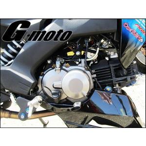 ゆG-moto GPZ900R GPZ750R 対応 ステンレス製 ゴールドボルト 26本Set