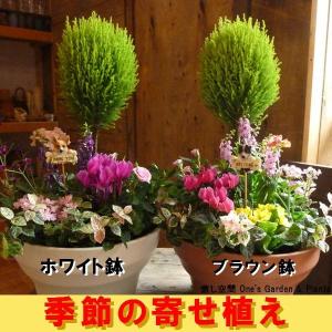 癒し空間 One S Garden Yahoo ショッピング