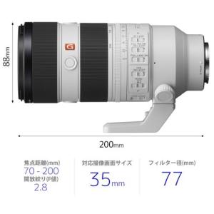 ソニー(SONY) FE 70-200mm F...の詳細画像1