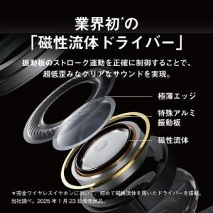 Technics(テクニクス) EAH-AZ1...の詳細画像1
