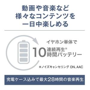 Technics(テクニクス) EAH-AZ1...の詳細画像4
