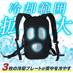 サンコー(Thanko) BACKC2HBK ...の詳細画像1