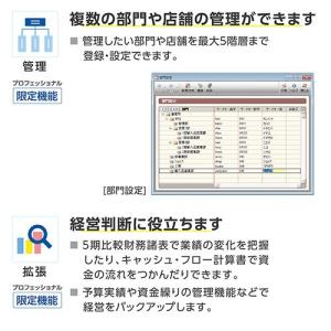 弥生 弥生会計 26 プロフェッショナル 通常...の詳細画像5