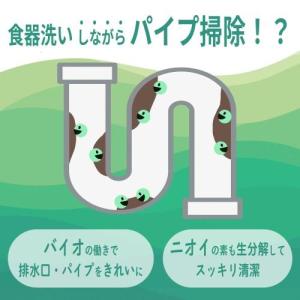 ミマスクリーンケア 375045 緑の魔女キッ...の詳細画像2