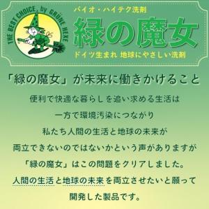 ミマスクリーンケア 375045 緑の魔女キッ...の詳細画像5