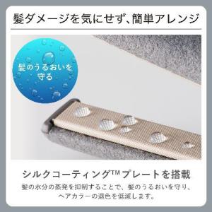 テスコム(TESCOM) NIS300B-H ...の詳細画像1