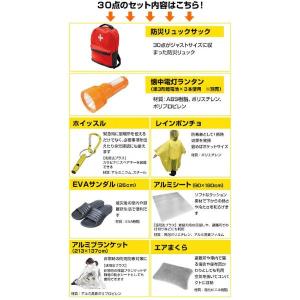 山善(YAMAZEN) YBG-30R レッド...の詳細画像2