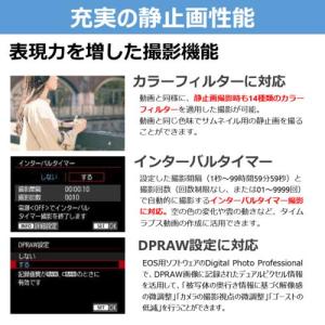【長期保証付】CANON(キヤノン) EOS ...の詳細画像3