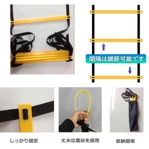 ラダー トレーニング サッカー トレーニングラ...の詳細画像5