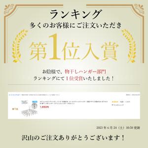 ピンチハンガー ステンレス ステンレスピンチハ...の詳細画像1