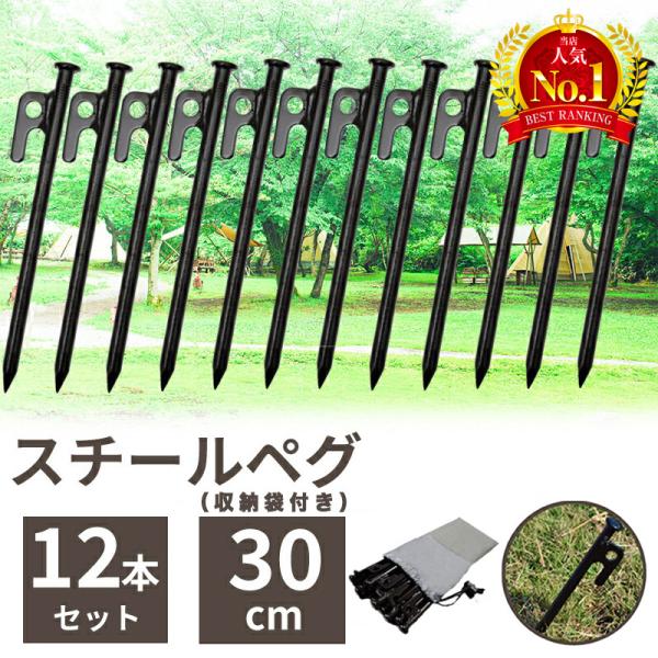 ペグ 30cm セット 12本 スチール テント タープ 設営 アウトドア キャンプ ピクニック ソ...