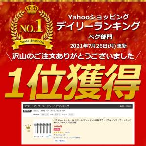 ペグ 30cm セット 12本 スチール テン...の詳細画像1