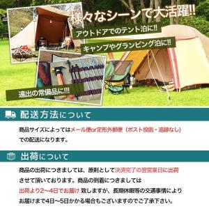 ペグ 30cm セット 12本 スチール テン...の詳細画像4