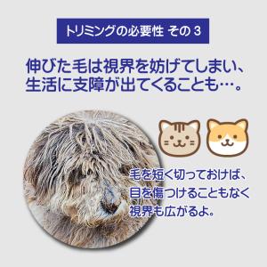 バリカン 犬用 ペット用 USB 充電式 電動...の詳細画像5