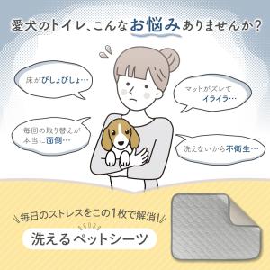 【30×30サイズ550円〜】ペット トイレマ...の詳細画像1