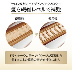 パンテーン ミラクルズ ボンドリペア モイスチ...の詳細画像2