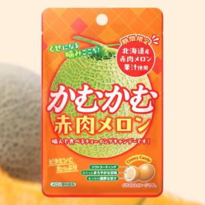 かむかむレモン パウチ ■最短賞味期限2026...の詳細画像4