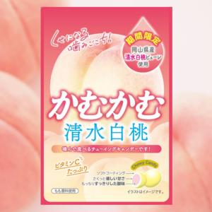 かむかむレモン パウチ ■最短賞味期限2026...の詳細画像5