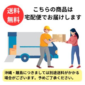 三立製菓 カンパン 100g 12個セット 非...の詳細画像2