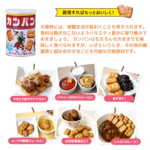 三立製菓 カンパン 100g 18個セット 非...の詳細画像3