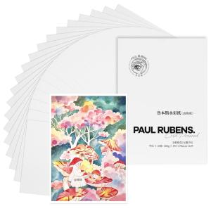 Paul Rubens 水彩紙 高吸収 アート用品 絵画紙 無酸コールドプレス 10.82x7.79インチ 綿100% 300gsm 20枚 紙パック｜onetoday