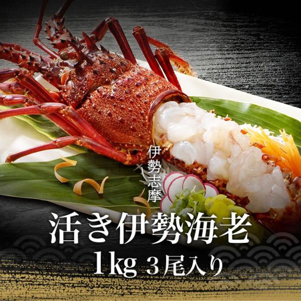 伊勢海老 三重県 伊勢志摩産 《約1kg 3尾（1尾約300g〜400g）》 活き 伊勢エビ 産地直...