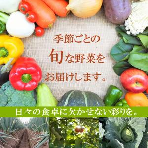 野菜セット 旬の野菜 野菜詰め合わせ 毎日の食...の詳細画像2