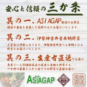 野菜セット 旬の野菜 野菜詰め合わせ 毎日の食...の詳細画像3