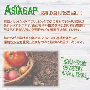 野菜セット 旬の野菜 野菜詰め合わせ 毎日の食...の詳細画像5