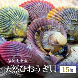 鹿児島県産　巨大貝　１８ｃｍ　１５８ｇ 鹿児島産 ひおうぎ貝 10枚 ヒオウギ貝 養殖 檜扇 産地直送