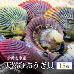 ひおうぎ貝 ヒオウギ貝 活 バタ貝 《15個セット》 伊勢...