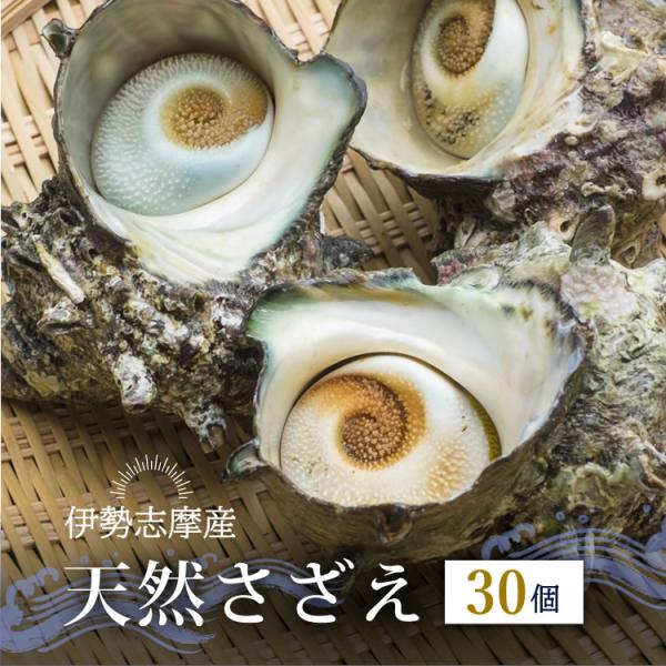 さざえ サザエ 活 伊勢志摩産 産地直送 天然 活さざえ 活サザエ 三重県産 伊勢志摩直送 《30個...