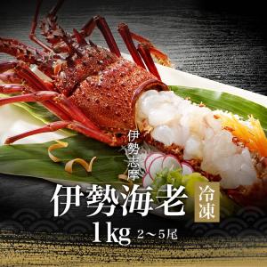 伊勢海老 三重県  伊勢志摩産 【冷凍】《約1kg 2尾〜5...