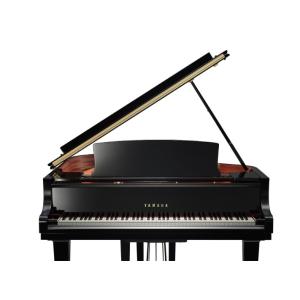 ヤマハ YAMAHA グランドピアノ C1Xの詳細画像1