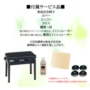 ヤマハ YAMAHA トランスアコースティック...の詳細画像1