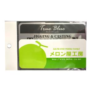 NatureBoys ネイチャーボーイズ ウィグルライダー 100g #07K ブルー