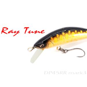 RayTune（レイチューン） デュプレックス シンキング DP45RR 45mm