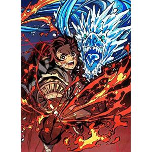 鬼滅の刃 22巻 缶バッジセット・小冊子付き同梱版 : Pink Diamond 総