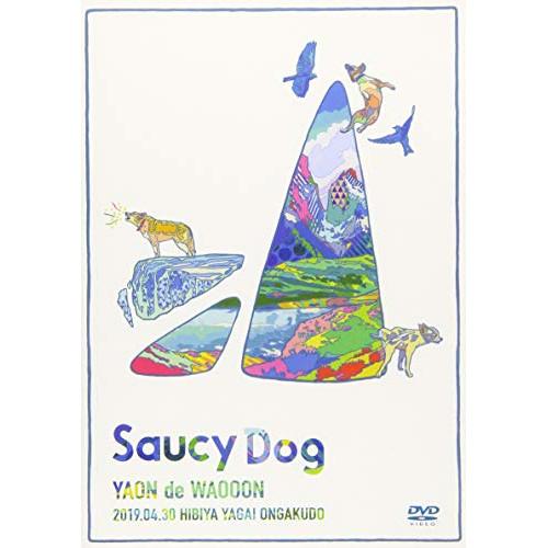 DVD/Saucy Dog/LIVE DVD「YAON de WAOOON」2019.4.30 日比...