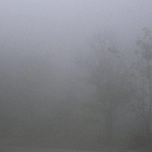 LP(25cm)/downt/III (初回限定生産盤)