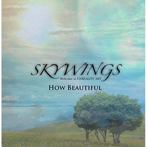 CD/SKYWINGS/How Beautiful