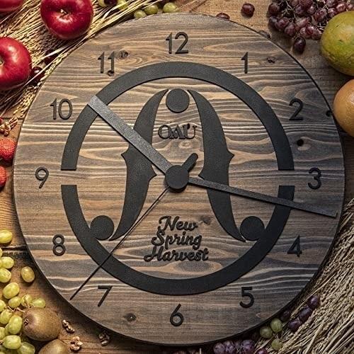 CD/OAU/New Spring Harvest (CD+DVD) (紙ジャケット)