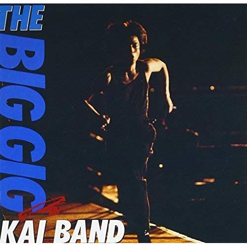 CD/甲斐バンド/THE BIG GIG