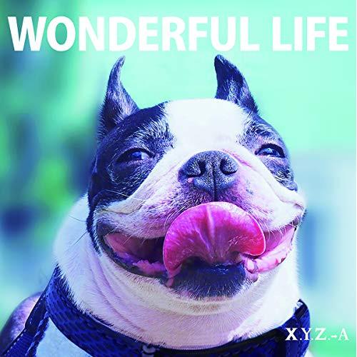 CD/X.Y.Z.→A/WONDERFUL LIFE (CD+DVD) (豪華盤)